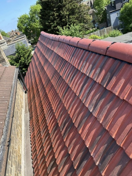 Profile: Image 1